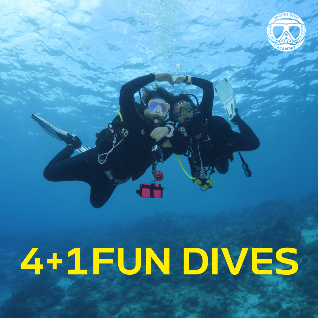 4+1 Fun Dives Package