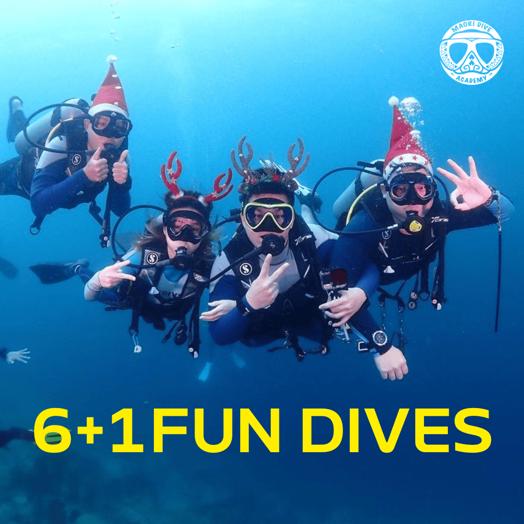 6+1 Fun Dives Package