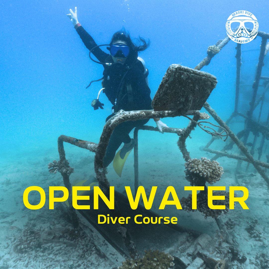 Diver Course (Open Water)