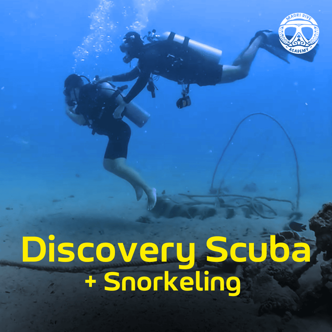 Snorkeling + Try Scuba