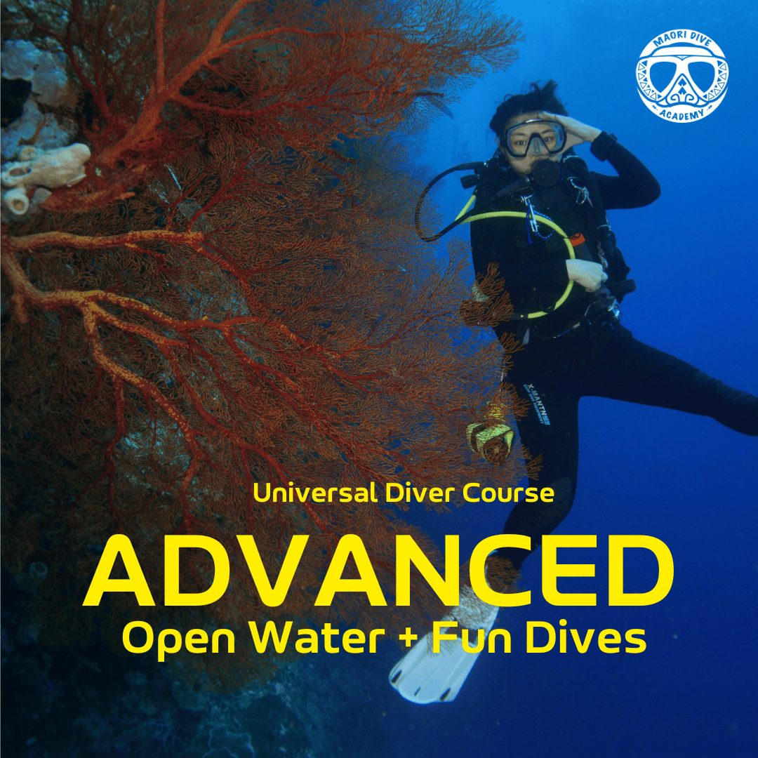 Universal Diver Course (Advanced Open Water) + 2 Fun Dives