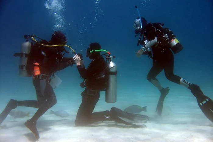 Scuba Diving Foundation